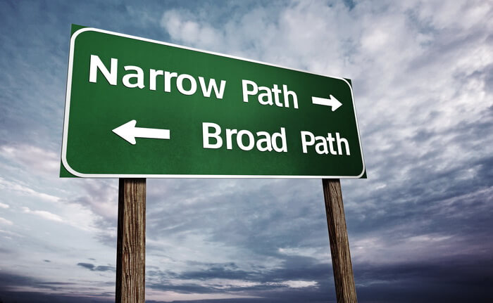 The Narrow Path