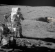 earth-rock-walt-brown